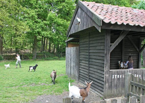 Land Gut Hotel Ritter Stadtlohn Kültér fotó